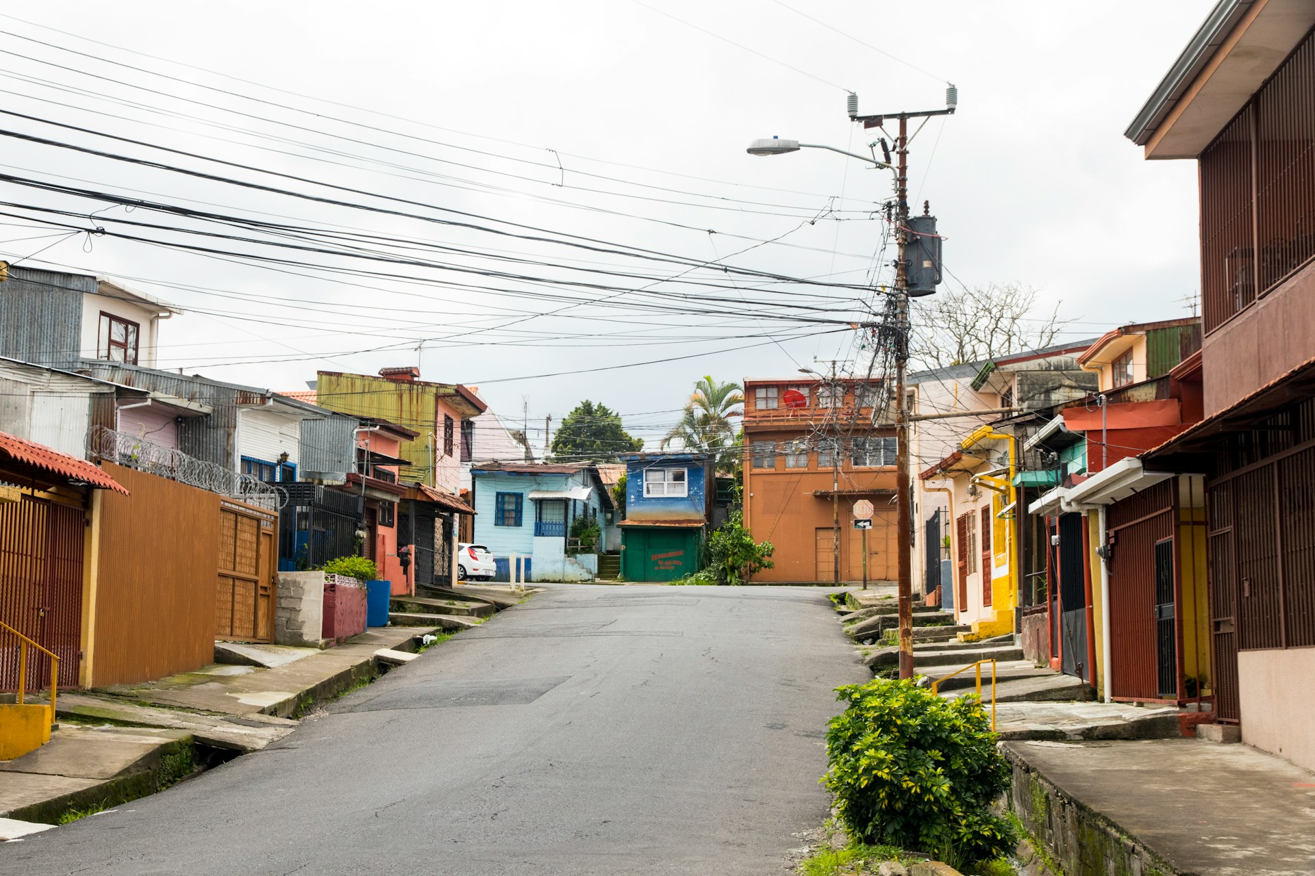 Galeria